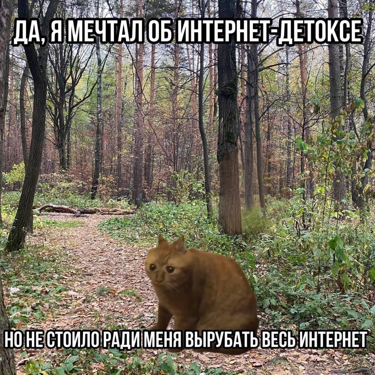 Abstract square graphic with dense, mostly unreadable text used as decorative hero for a Senior UA Manager in gaming page